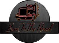 Gaming+LKW-Fahrten